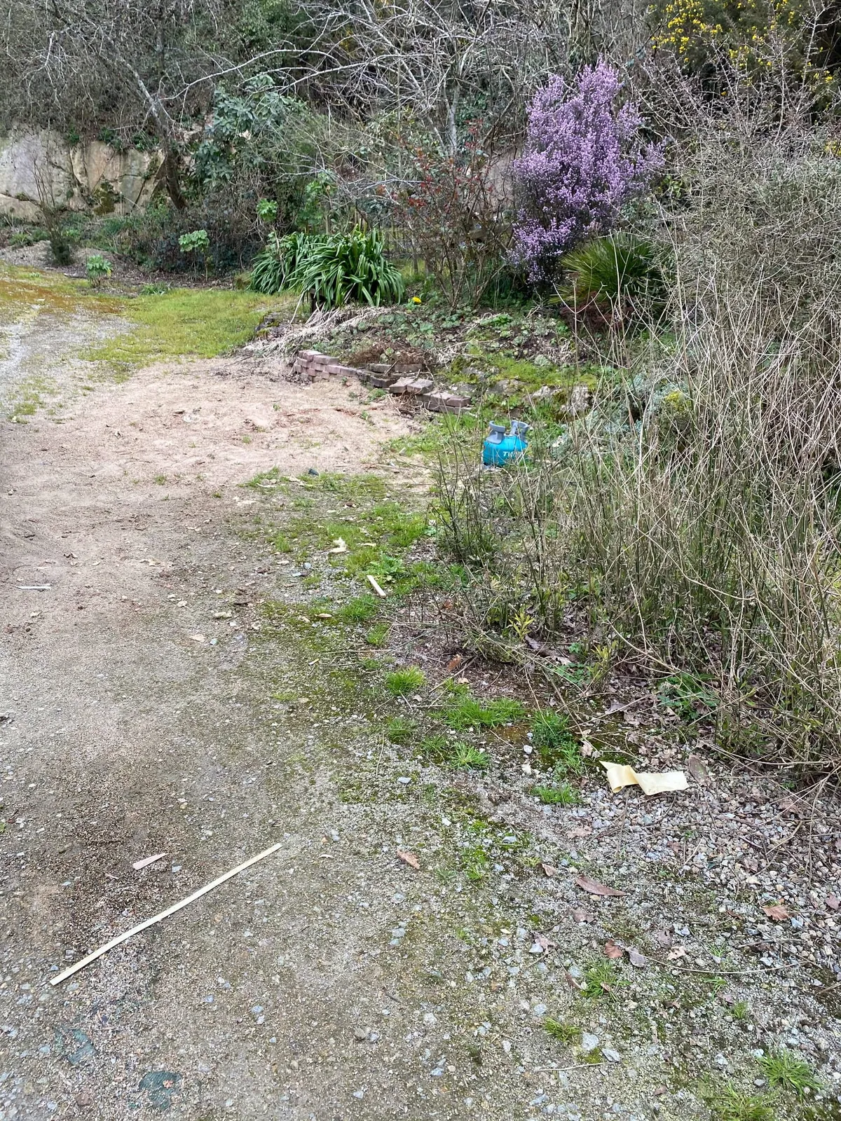 Jardin vidé et propre après intervention